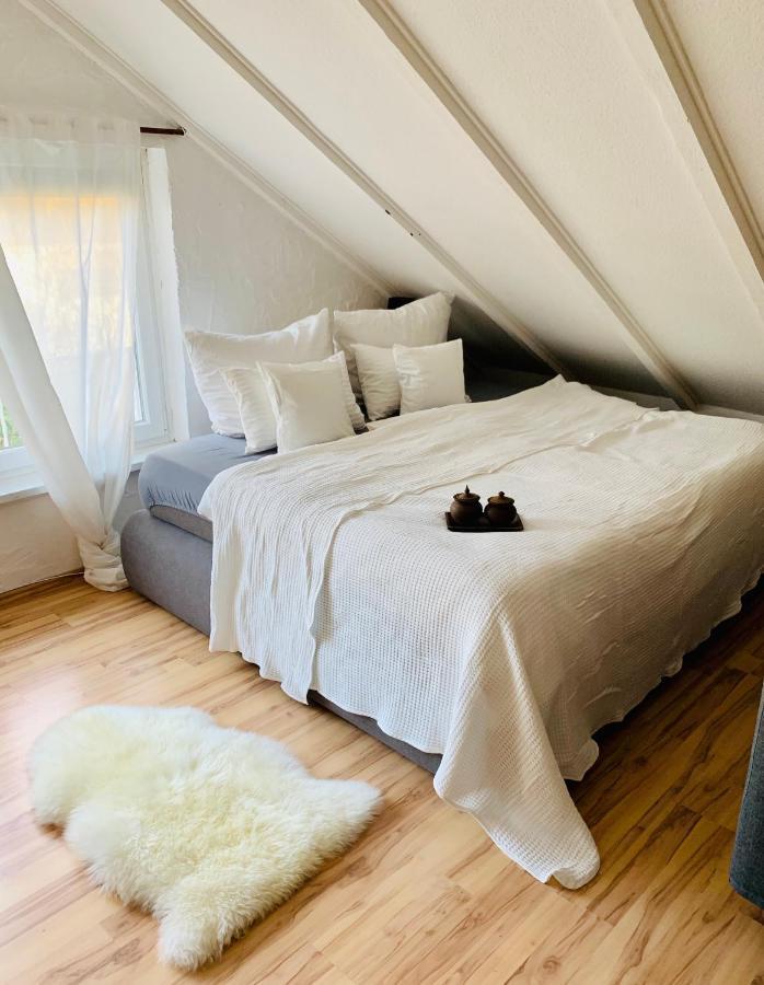 Studio Apartment In Direkter Naehe Zur Uniklinik Homburg Homburg  Bagian luar foto