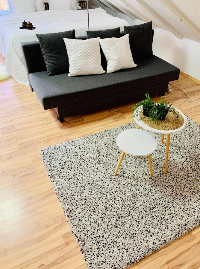 Studio Apartment In Direkter Naehe Zur Uniklinik Homburg Homburg  Bagian luar foto