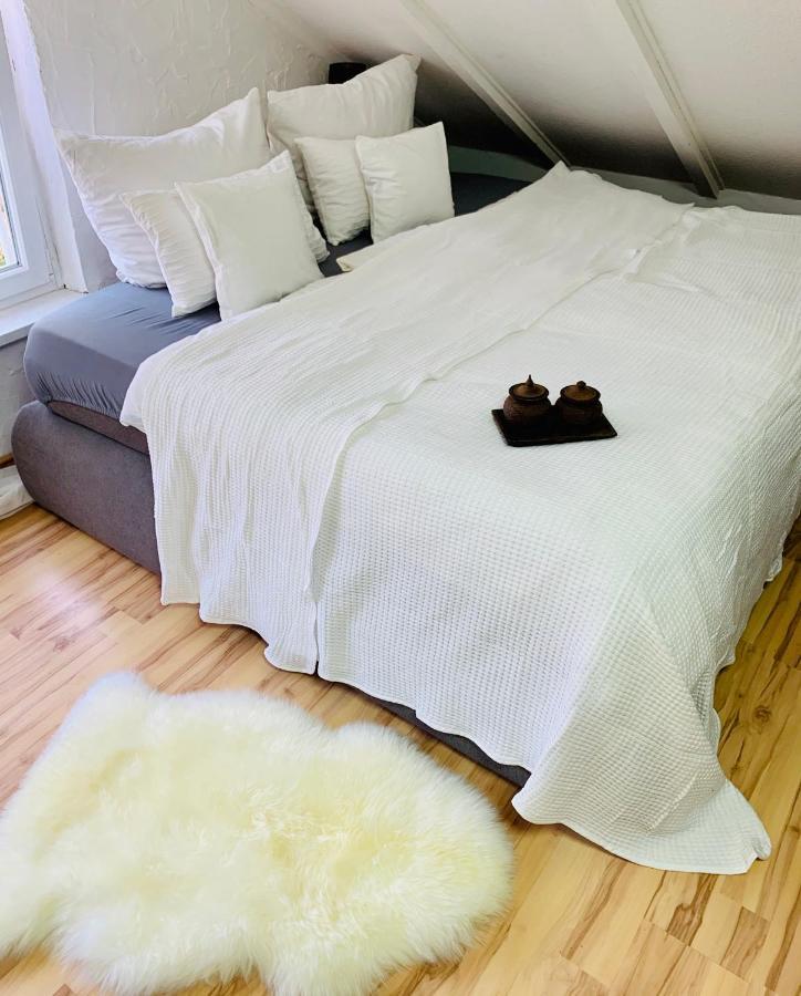 Studio Apartment In Direkter Naehe Zur Uniklinik Homburg Homburg  Bagian luar foto