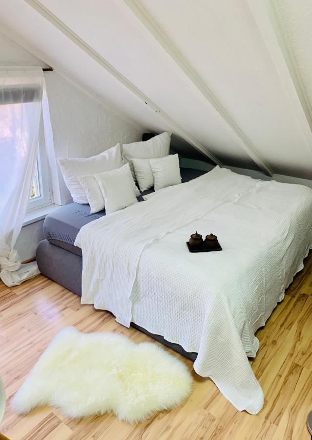 Studio Apartment In Direkter Naehe Zur Uniklinik Homburg Homburg  Bagian luar foto